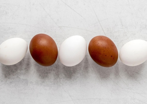 Há diferença nutricional entre ovos brancos e marrons? Dia Mundial do Ovo ajuda a esclarecer essa e outras dúvidas
