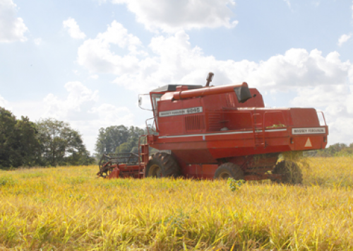 Falta de investimento reduz expansão agrícola, diz pesquisa