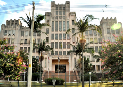 Instituto Biológico de São Paulo comemora 85 anos