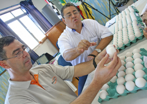 Concurso de Qualidade de Ovos desafia seus próprios objetivos em 2012