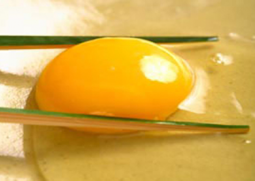 O ovo fresco de cada dia