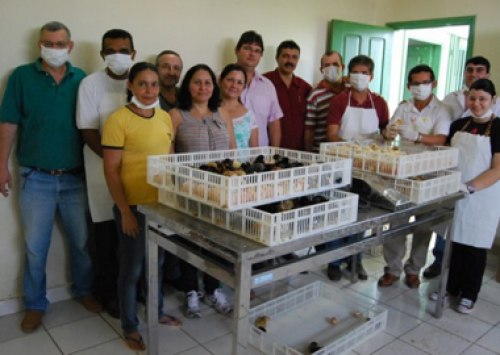 Incubadora no Acre estimula a avicultura familiar