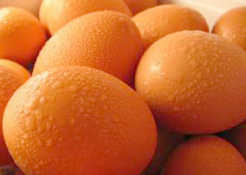 Preços dos ovos sobem pontualmente com menor oferta