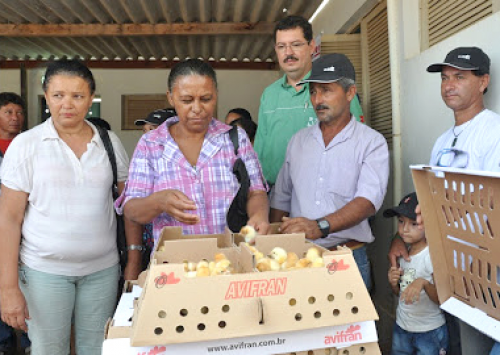 Avicultura alternativa ganha incentivos para se desenvolver na Paraíba