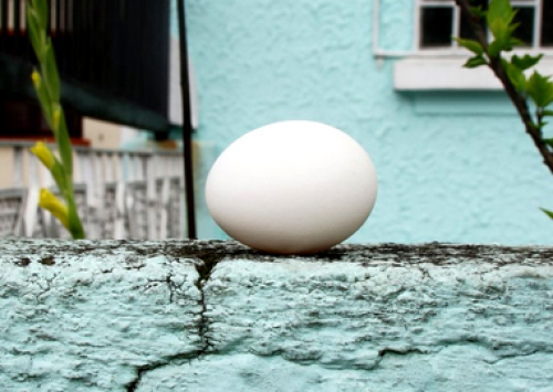 Exposição de fotógrafo brasileiro tem o ovo como inspiração