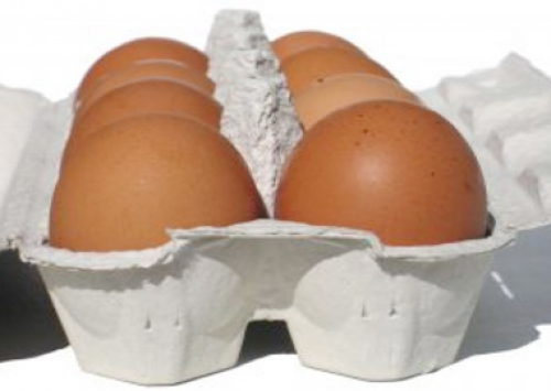 Brasil pode exportar ovos para o México