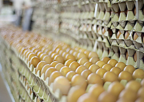 Ovo sobe 17% em cinco meses e gera impacto no interior paulista