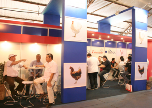 Festa do Ovo 2013 tem quase 50 empresas avícolas participando da feira