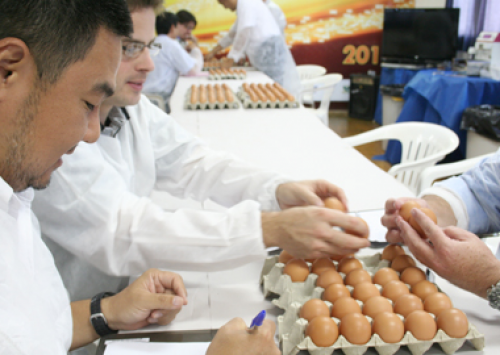 Bastos realiza hoje seu Concurso de Qualidade de Ovos 2013