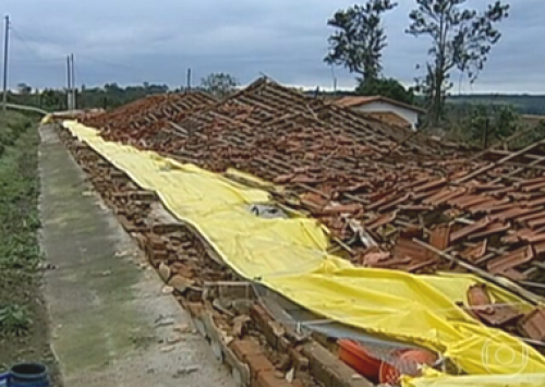 Frio e chuva causam a morte de 40 mil pintinhos no interior paulista