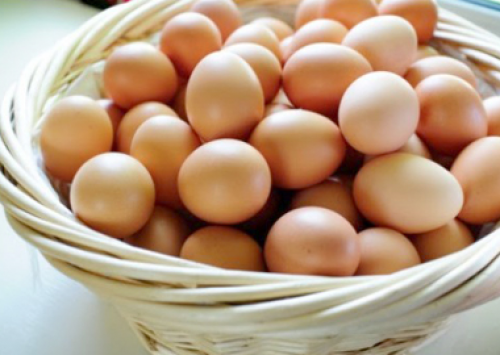 Capital do Ovo terá workshop sobre ovos caipiras e orgânicos