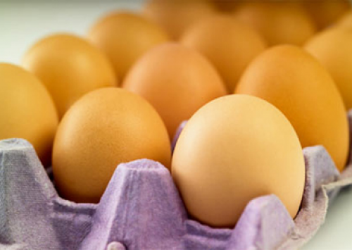 Ovos in natura continuam liderando exportação, aponta Ubabef