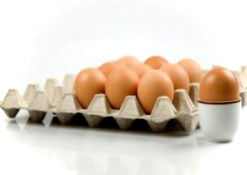 International Egg Comission e FAO estudam incremento ao ovo na África