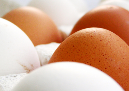 México importou 46 mil toneladas de ovo em 2013