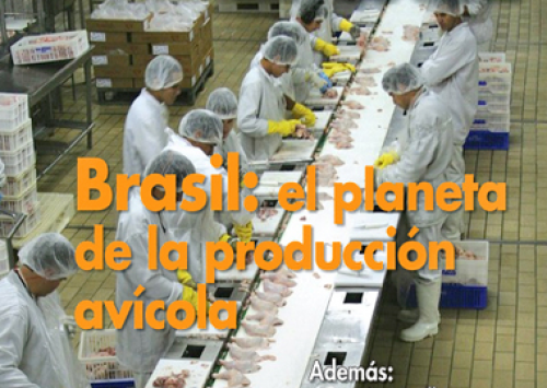 Revista internacional chama o Brasil de “planeta da produção avícola”