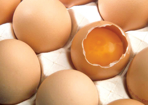 Produção de ovos com qualidade e segurança para o consumidor