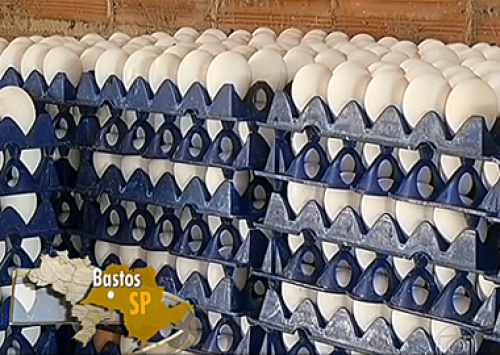 Alta produção promove queda no preço do ovo em São Paulo