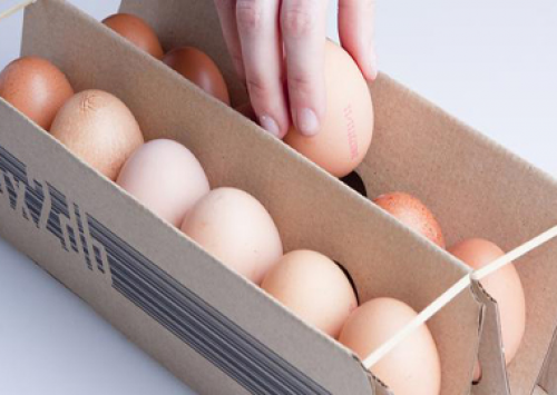Estudante de design cria nova embalagem para ovos 