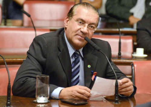 Projeto proíbe criação de animais em gaiolas no Estado de São Paulo