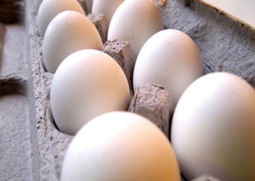 Demanda abaixo da esperada pressiona cotações com força