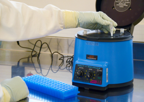 Embrapa conclui laboratório para pesquisa em sanidade animal