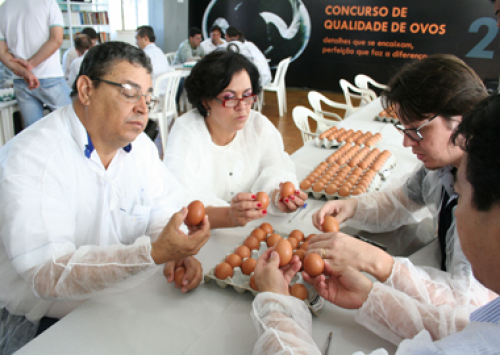 Nomeada a comissão organizadora do Concurso de Qualidade de Ovos 2014