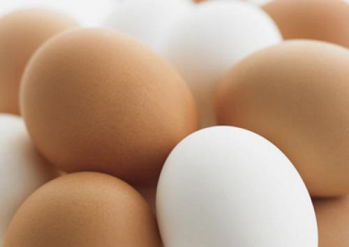 No Paraná, preço do ovo ao produtor sobe 14%