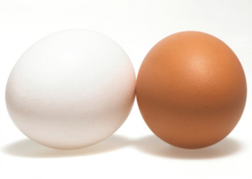 Cai índice de exportação do ovo em 2014