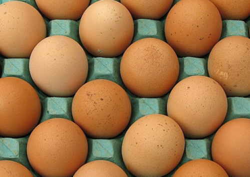 Análise do mercado do ovo pelo Cepea faz um ano
