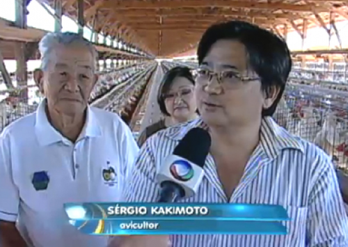Produção de ovos de Bastos é destaque no Domingo Espetacular
