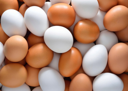 Preço do ovo sobe e margem do avicultor melhora, diz Cepea