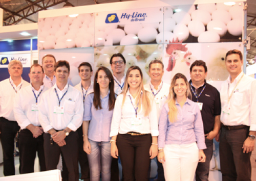 Hy-Line do Brasil prestigia avicultores classificados em qualidade