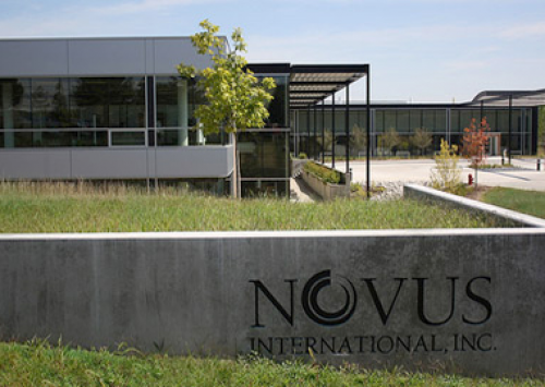 Latinoamericanos já podem contar com novo site da Novus International 