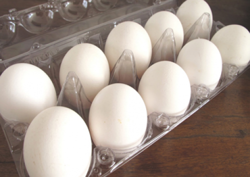 Grande queda no preço dos ovos preocupa avicultores