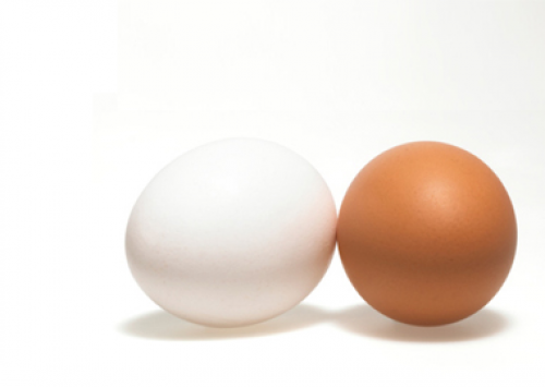 Preço do ovo sobe ainda mais em Bastos (SP)