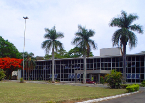 Instituto de Zootecnica volta a ter pesquisas sobre avicultura