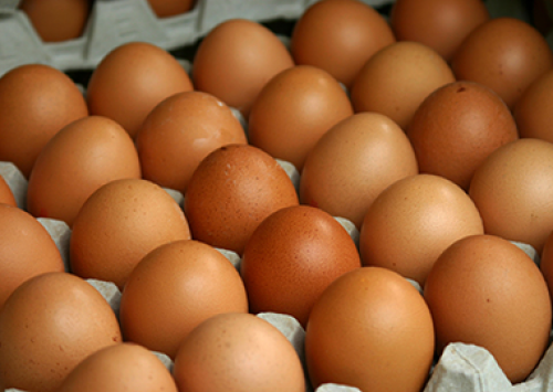 Exportações de ovos crescem; preços do mercado interno aumentam