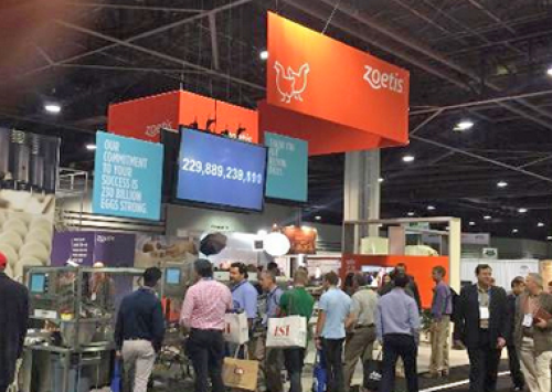 Zoetis divulga lucro referente a 2014 em níveis global e regional