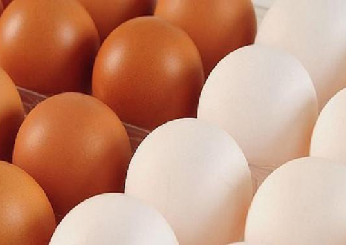 Preços do ovo continuam elevados; agora em até 37%