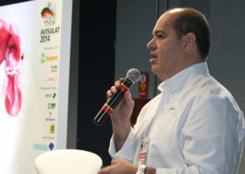 Um ovo diferente, é o que busca o “novo consumidor” 