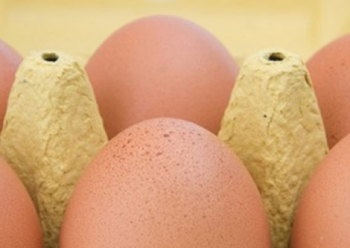 Preço dos ovos recuam, mesmo em período de Quaresma