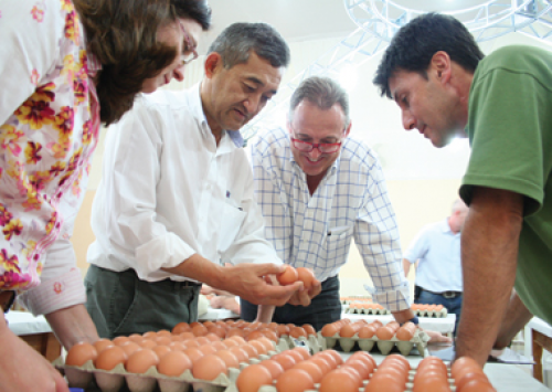 Festa do Ovo e Concurso de Qualidade de Ovos já têm datas definidas