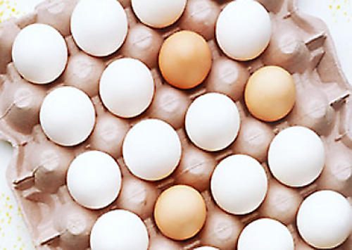 Preços dos ovos caem acentuadamente, mesmo com descartes