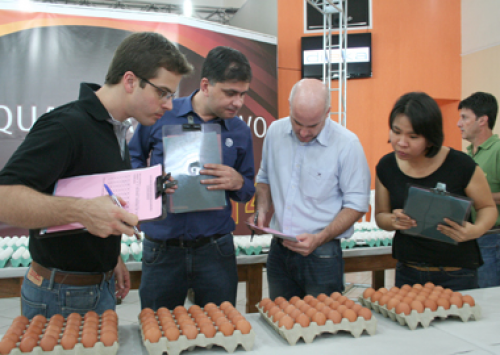 Concurso de Qualidade de Ovos de Bastos define juízes da edição 2015