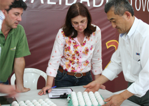 Concurso de Qualidade de Ovos de Bastos divulga seu regulamento para 2015