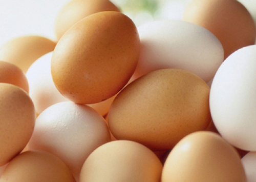 Mercado do ovo começa a reagir e pode recuperar perdas
