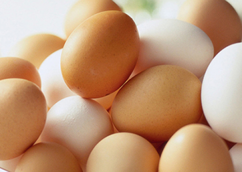 Brasil produz 725 milhões de dúzias de ovos e bate recorde