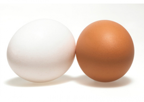 Exportação crescente de ovos limita quedas de preços na parcial do mês