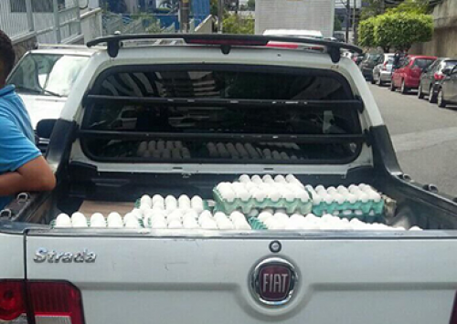 Produção de ovos cresce e estimula vendas nos carros de ovos na Bahia
