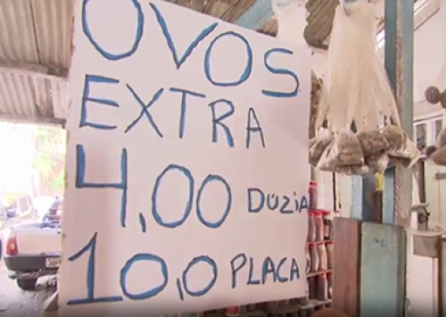 Produção de ovos cresce 5,97% em seis meses na Bahia; consumo também evolui